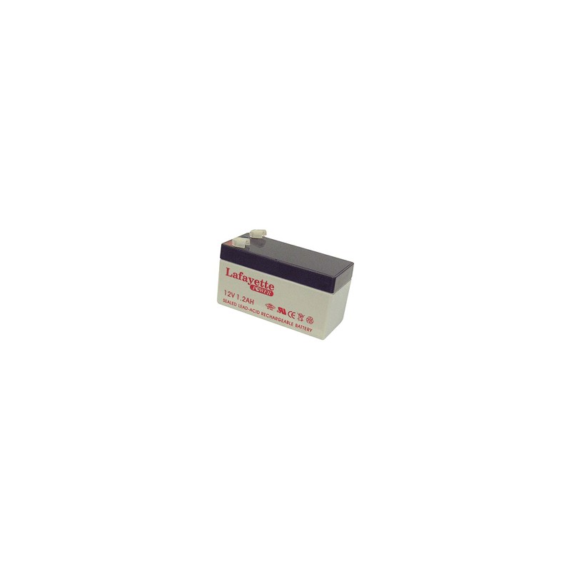 Rechargeable battery 12v 1